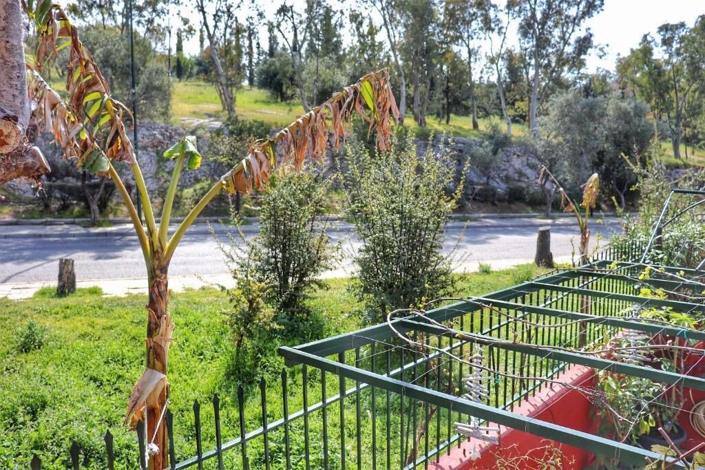 Photo of Outdoor in Petralona