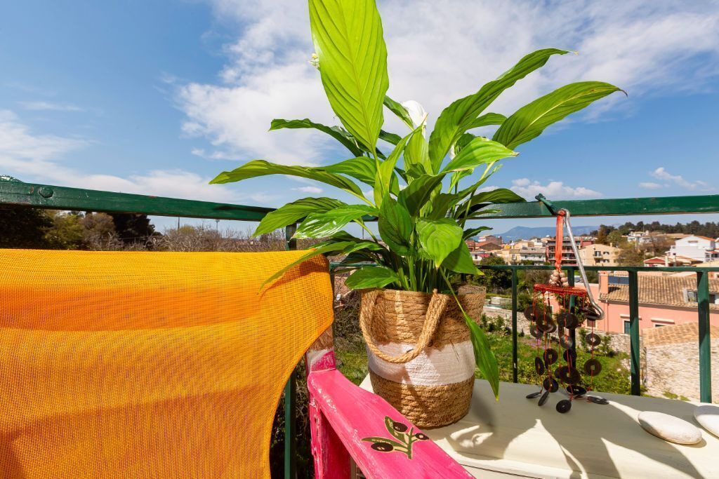 Photo of Outdoor in Corfu Town