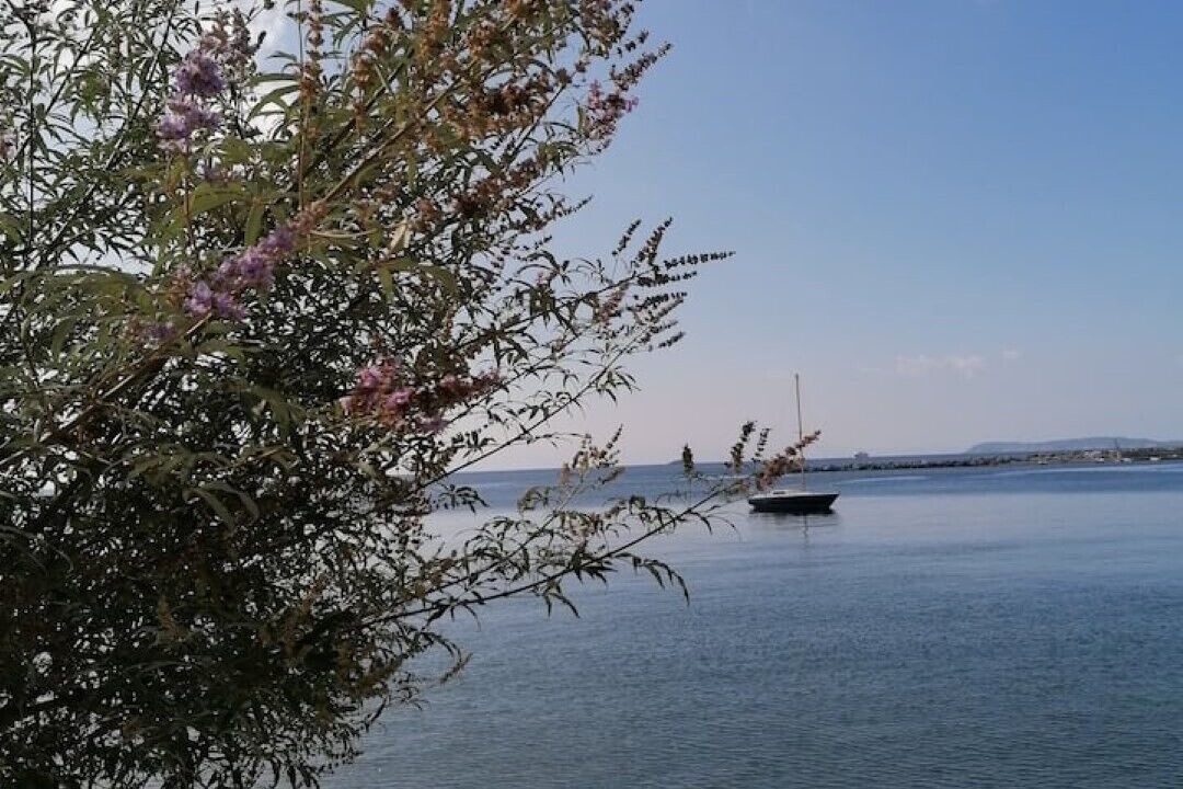 Photo of Others in Loutraki
