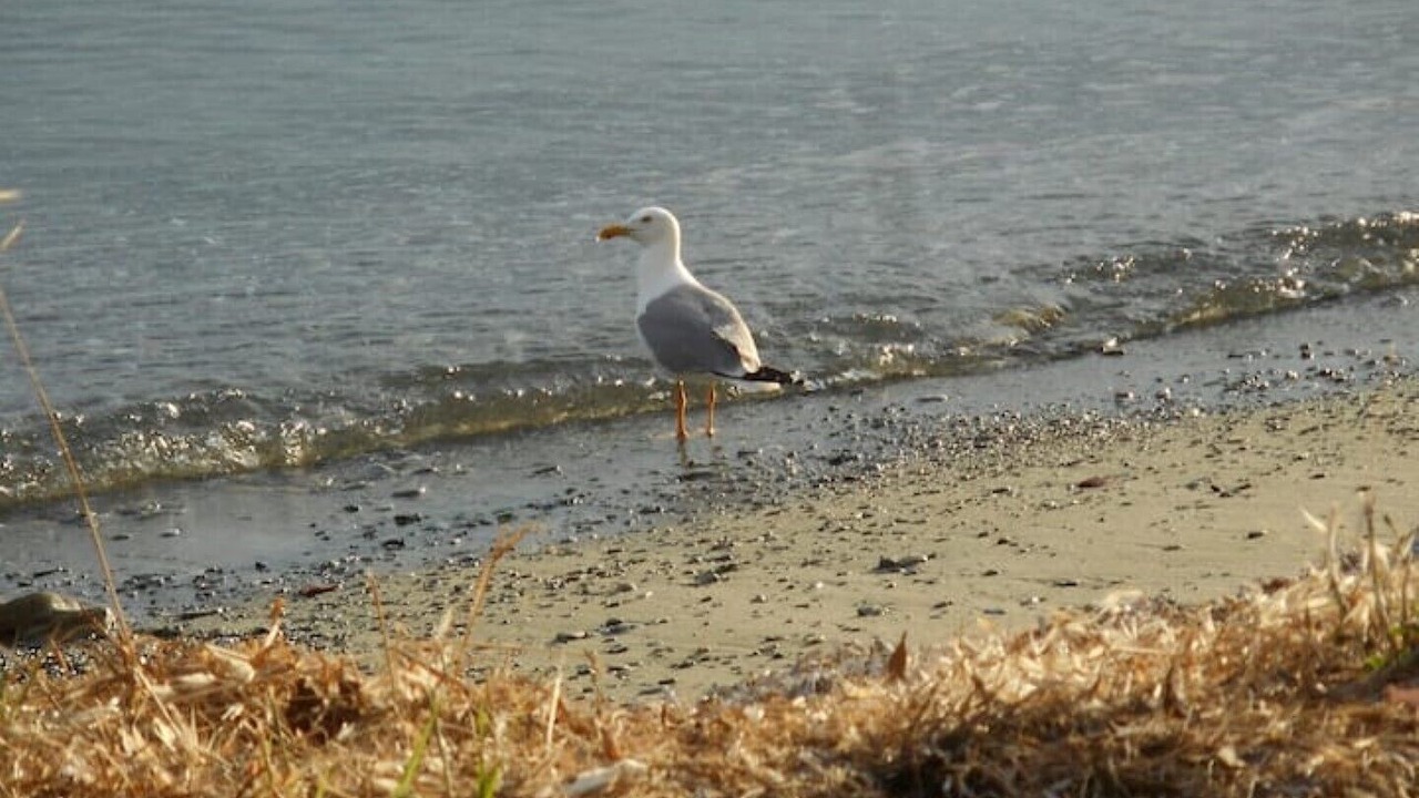 Photo of Others in Loutraki
