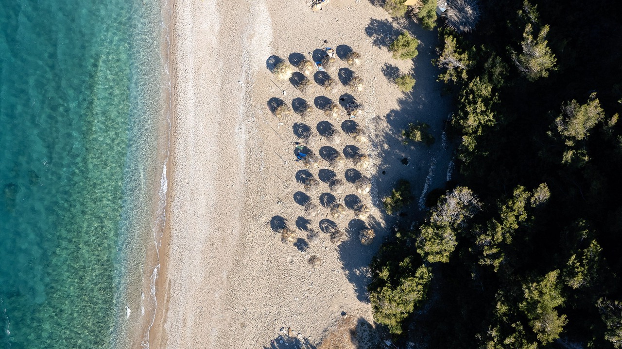 Photo of Others in Linoperamata