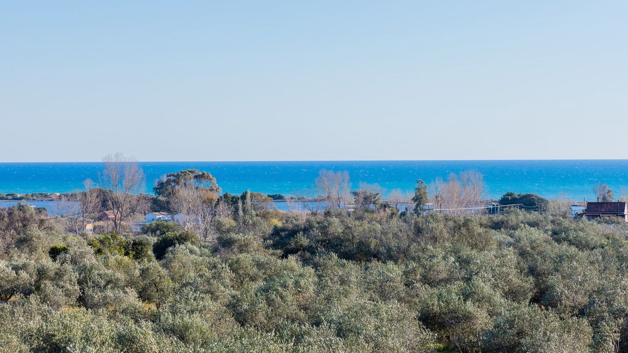 Photo of Others in Dafnata