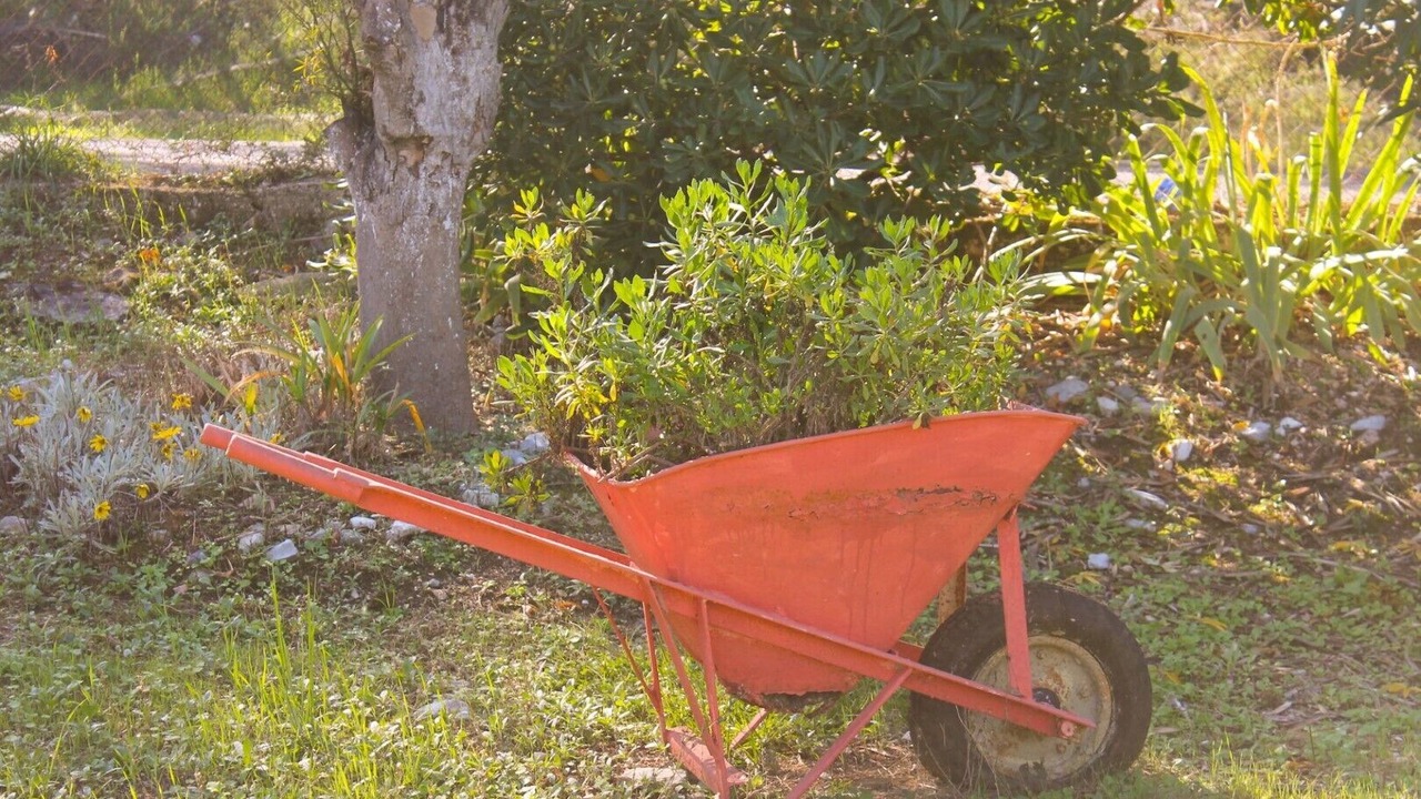 Photo of Outdoor in Agios Spyridon Corfu