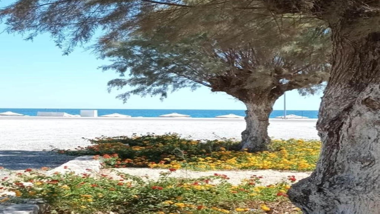 Photo of Others in Kallithea