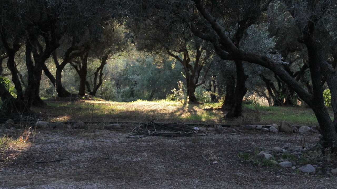 Photo of Others in Galatas