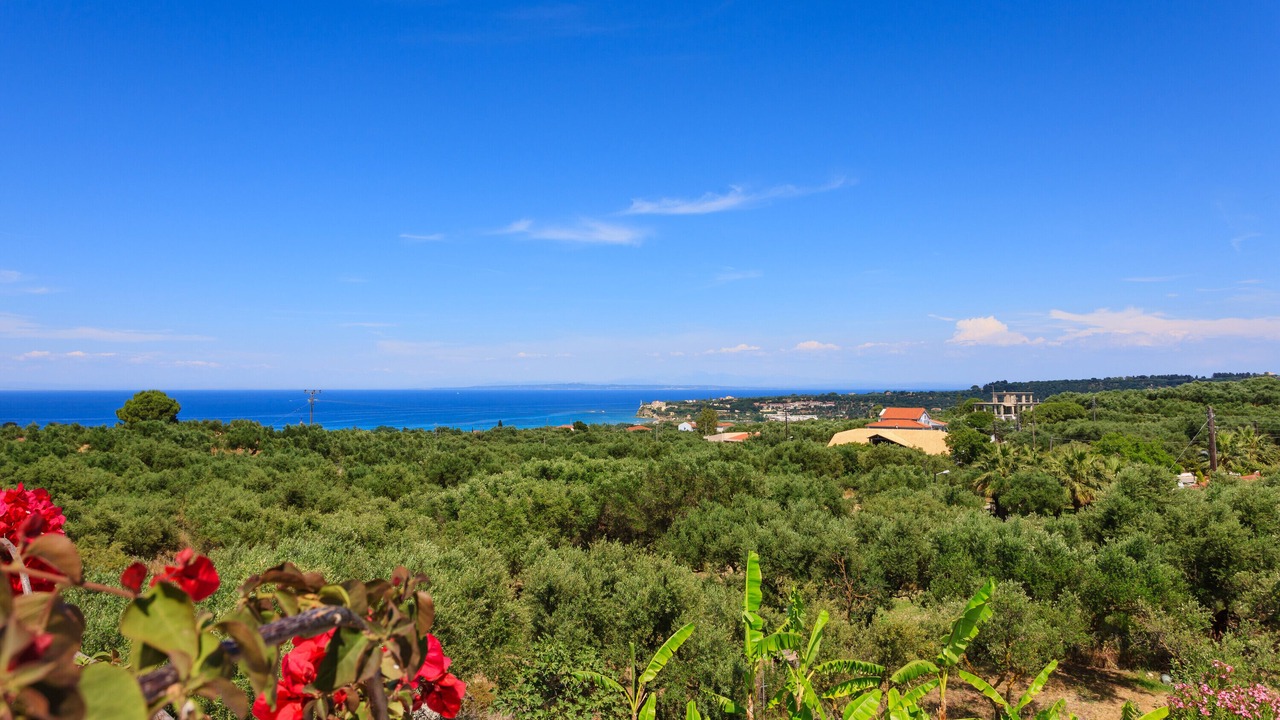 Photo of Others in Tsilivi