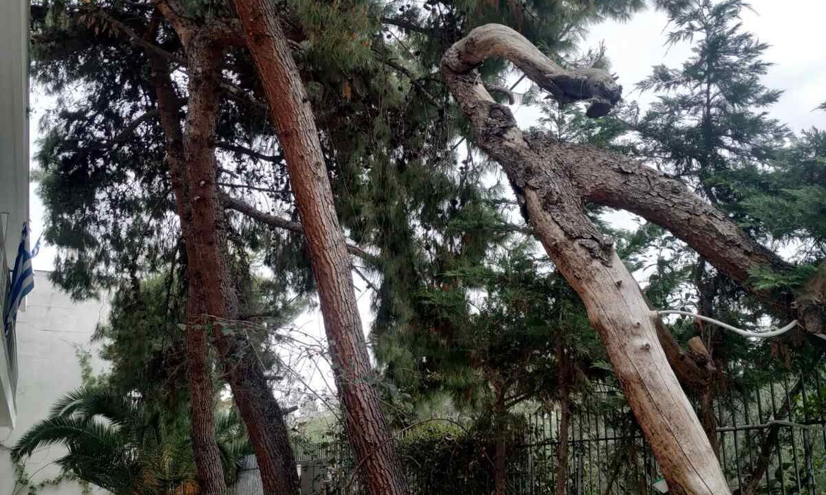 Photo of Outdoor in Koukouli