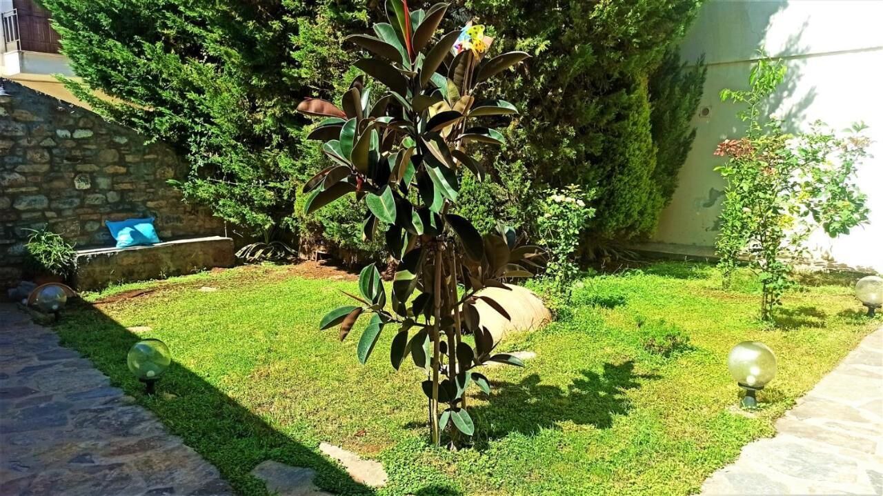 Photo of Outdoor in Neapoli