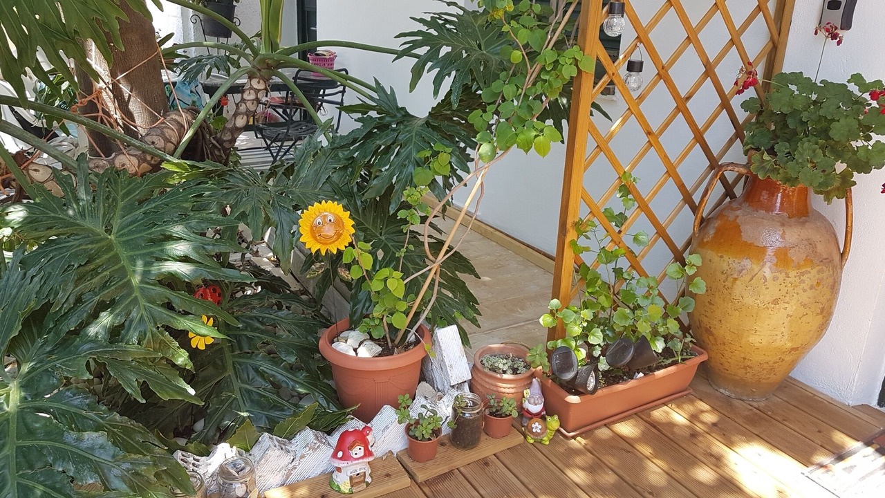 Photo of Outdoor in Ano Korakiana