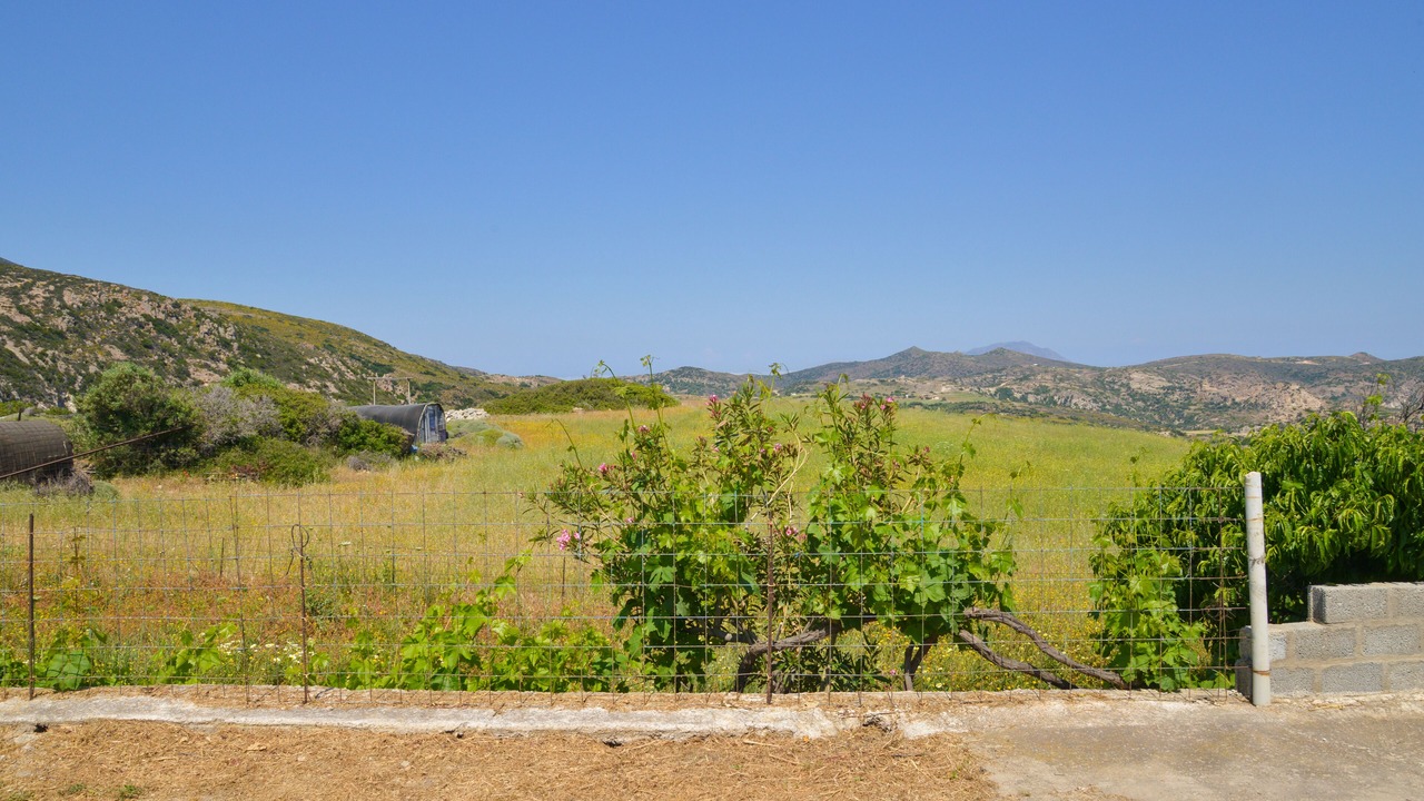 Photo of Outdoor in Milos