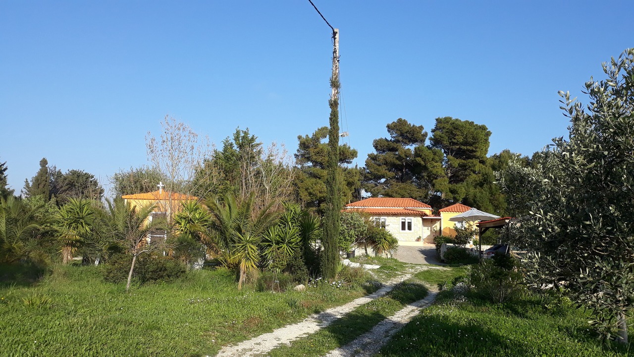 Photo of Others in Paliki