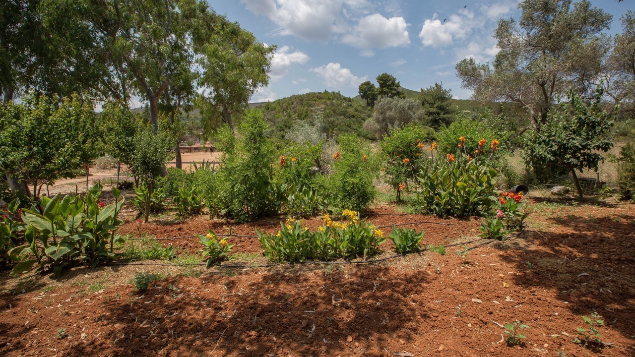 Photo of Outdoor in Marathon