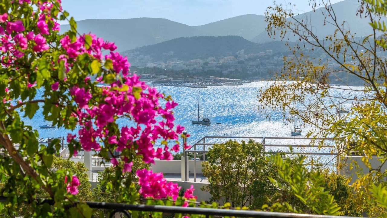 Photo of Patio Balcony in Porto Rafti