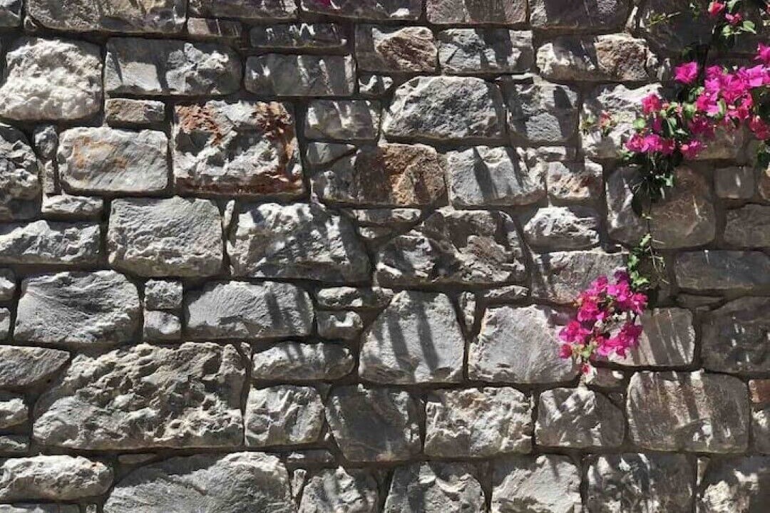 Photo of Outdoor in Diasella