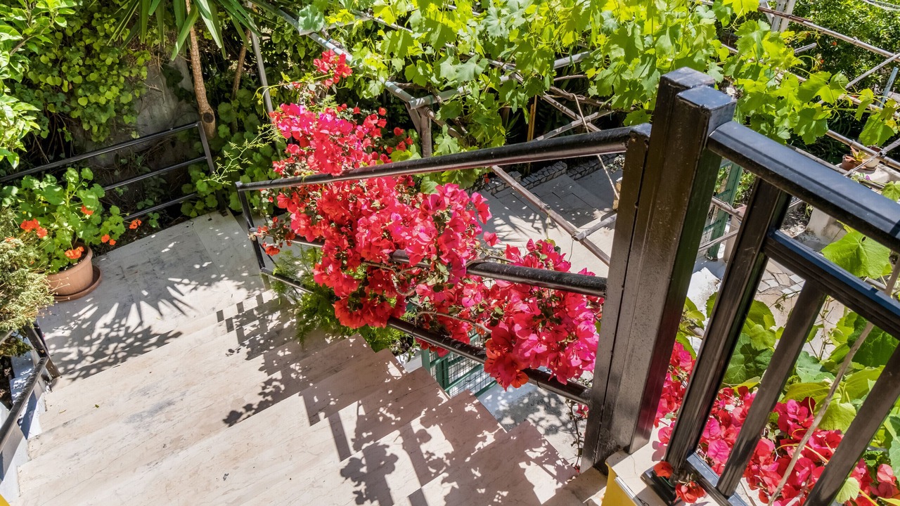 Photo of Outdoor in Vassiliki