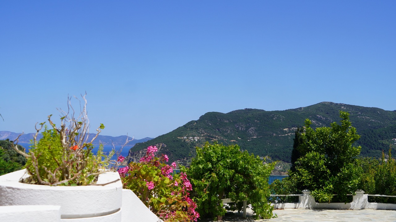 Photo of Outdoor in Skopelos