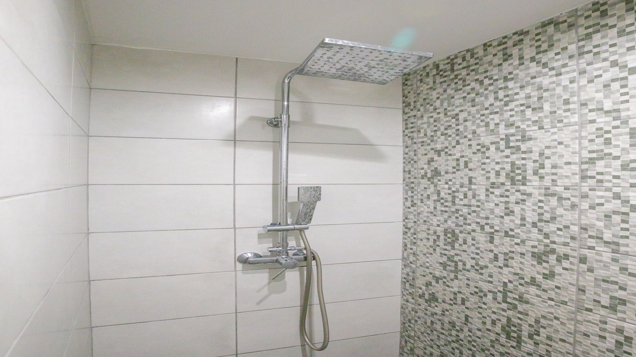Photo of Bathroom in Skafidia