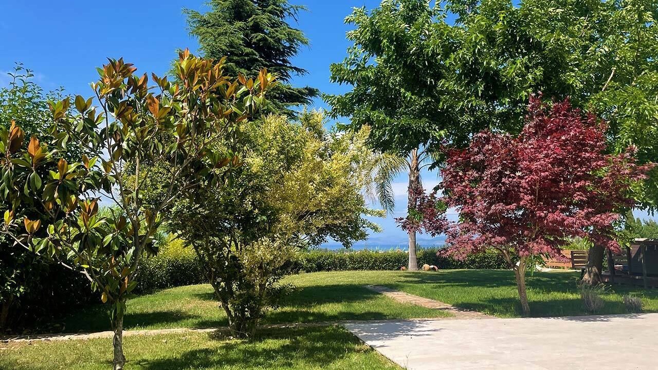 Photo of Outdoor in Potamos