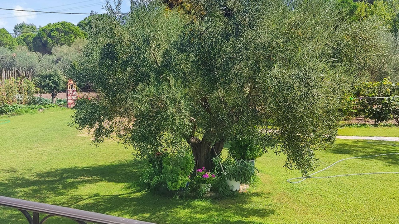 Photo of Outdoor in Vourvourou