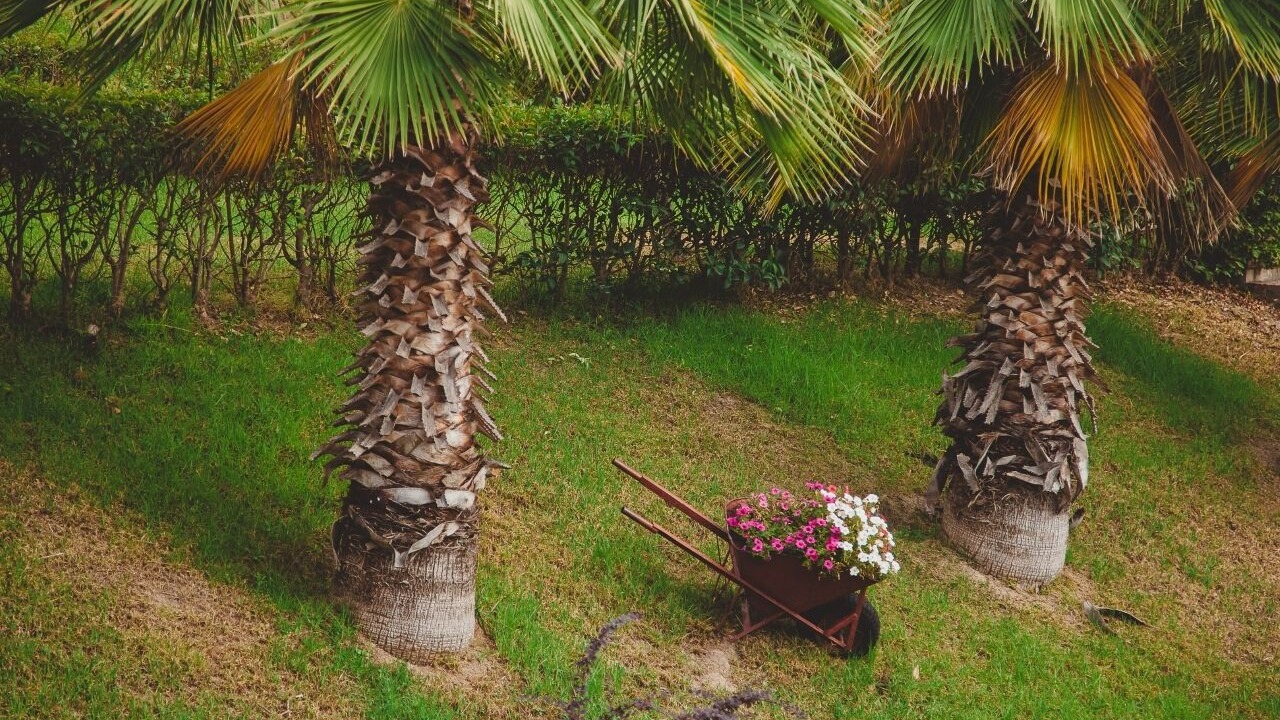 Photo of Outdoor in Gefira Mpania