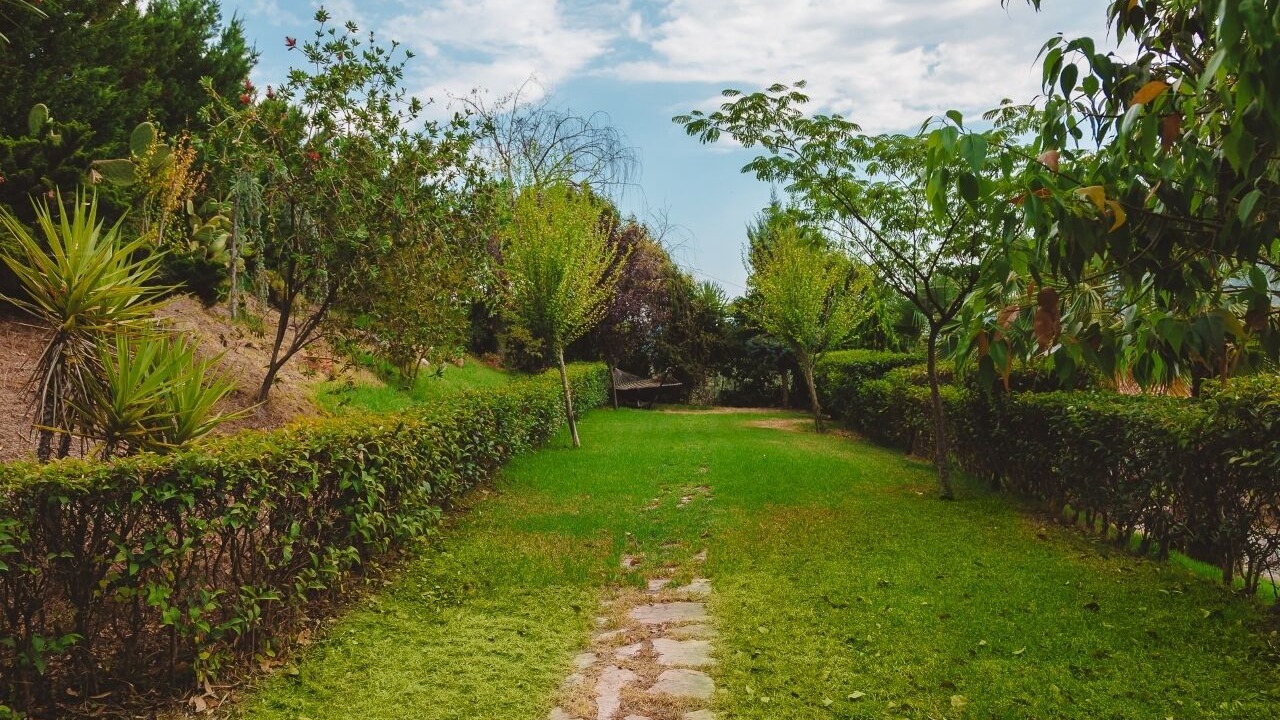 Photo of Outdoor in Gefira Mpania