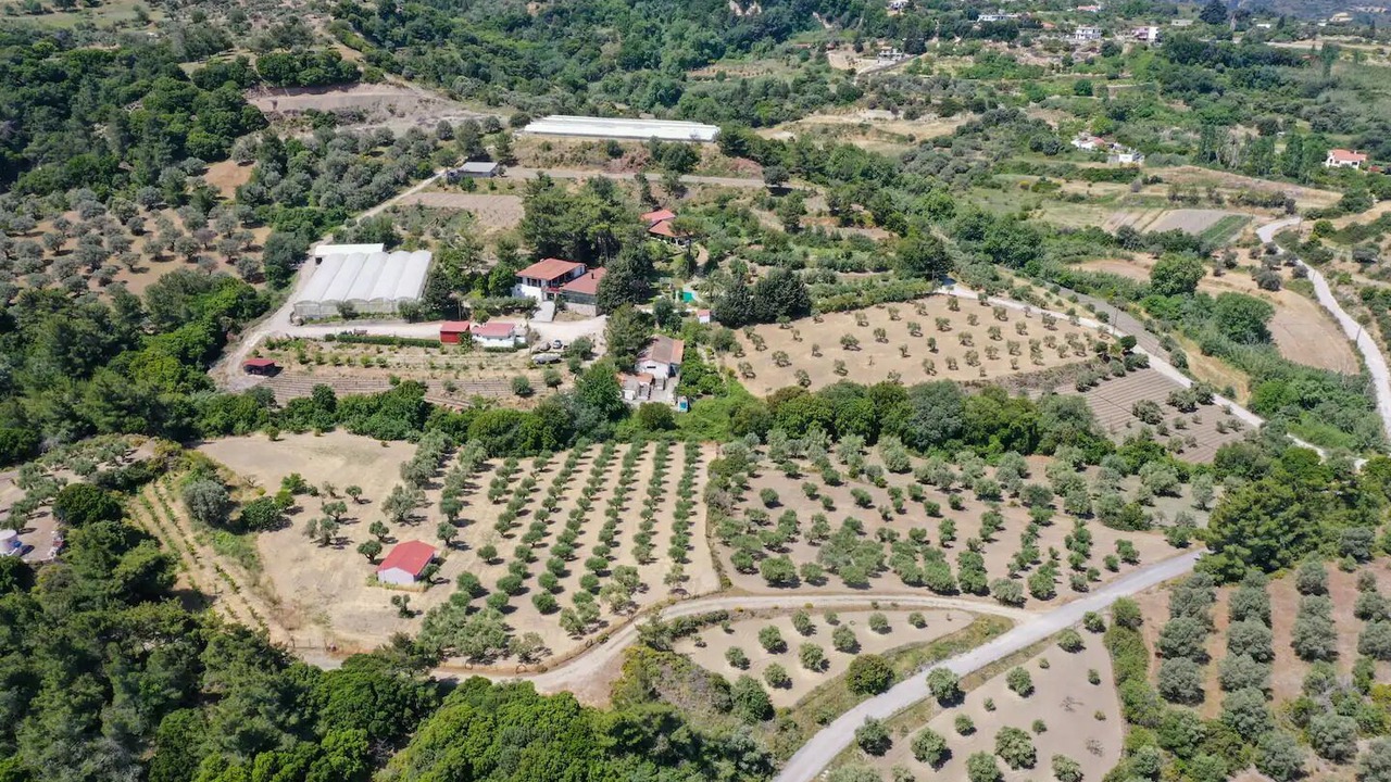 Photo of Outdoor in Salakos