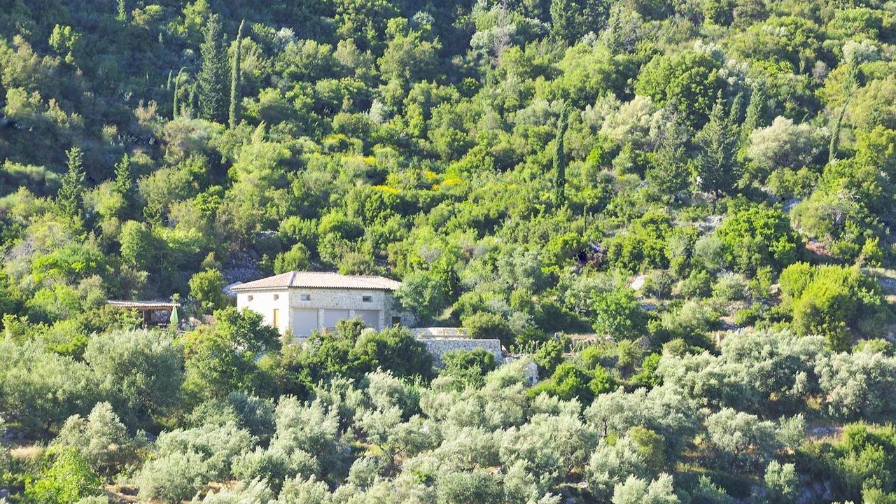 Photo of Others in Spanochori