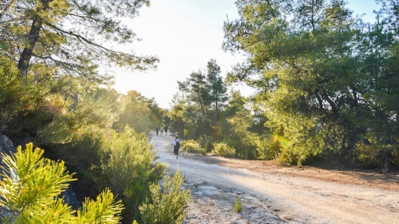 Photo of Outdoor in Sithonia
