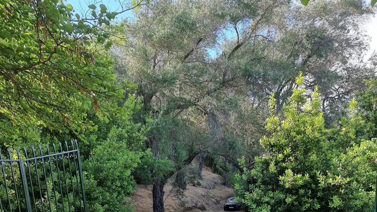 Photo of Outdoor in Sinarades