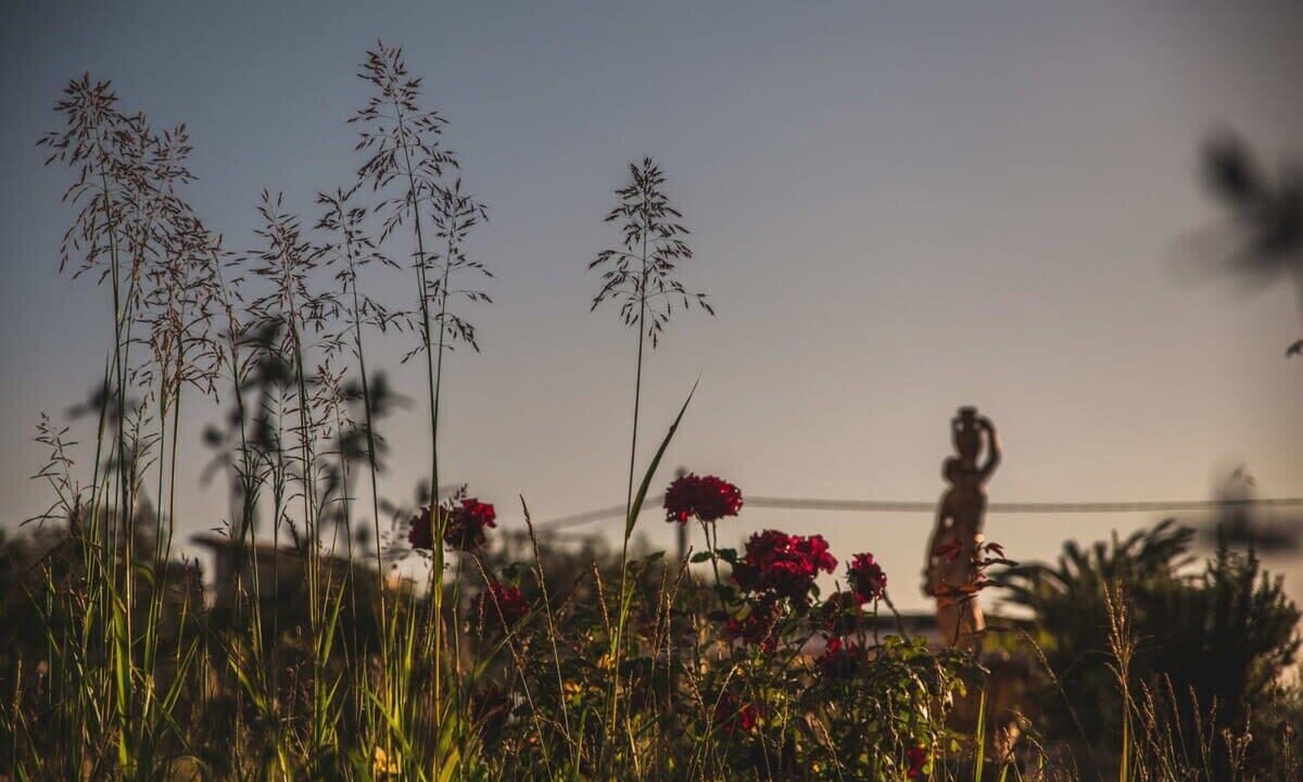 Photo of Outdoor in Avia