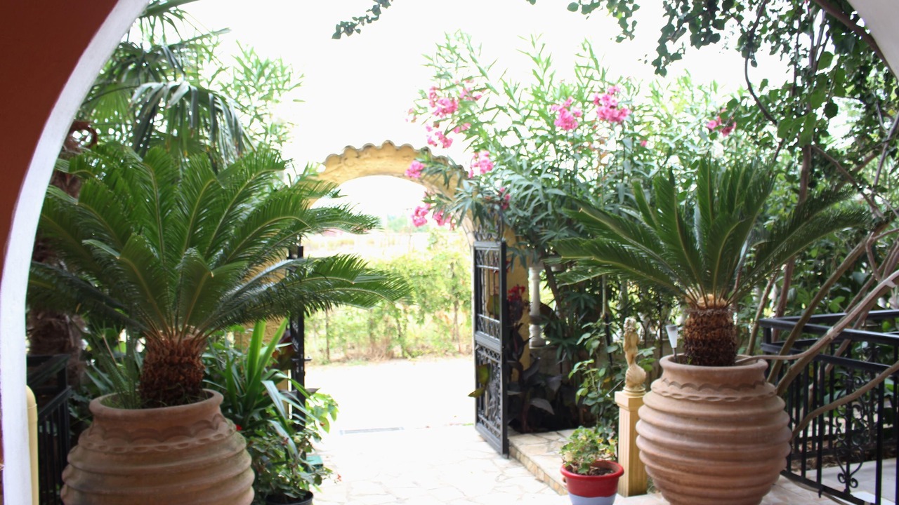 Photo of Patio Balcony in Ag. Georgios