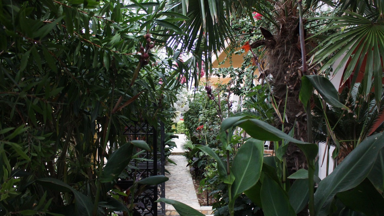 Photo of Outdoor in Ag. Georgios