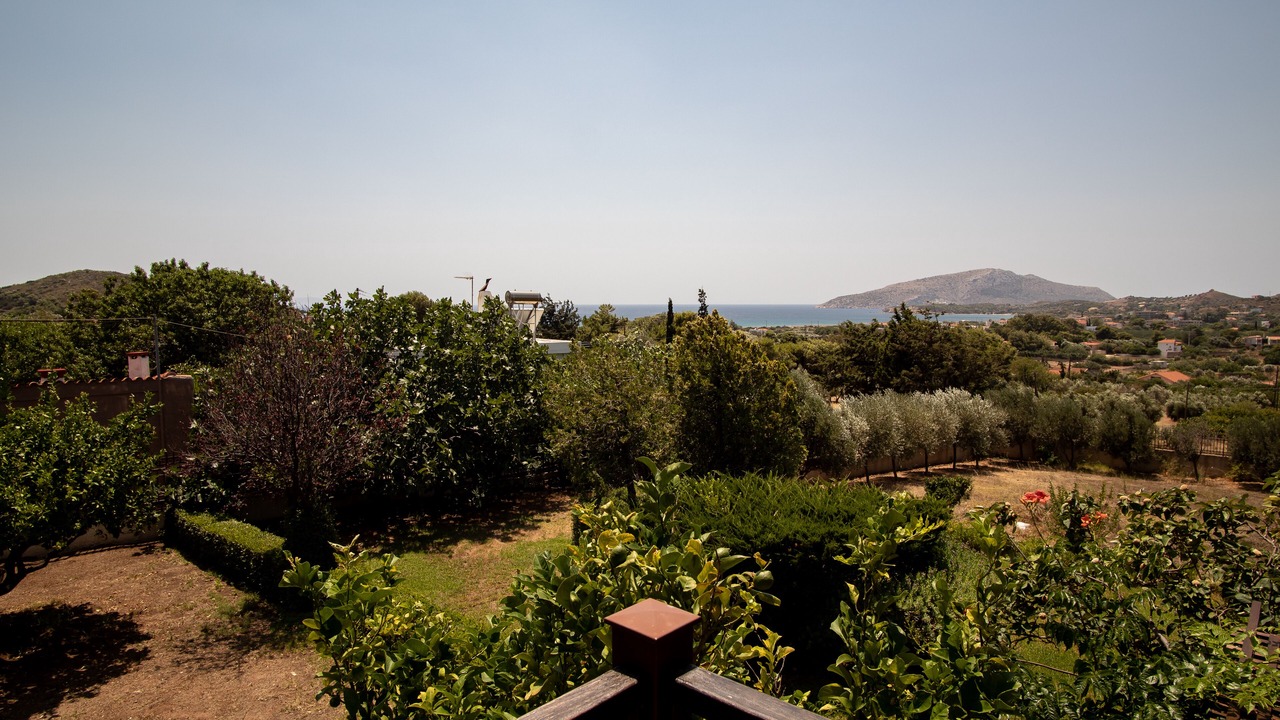 Photo of Outdoor in Lavreotiki