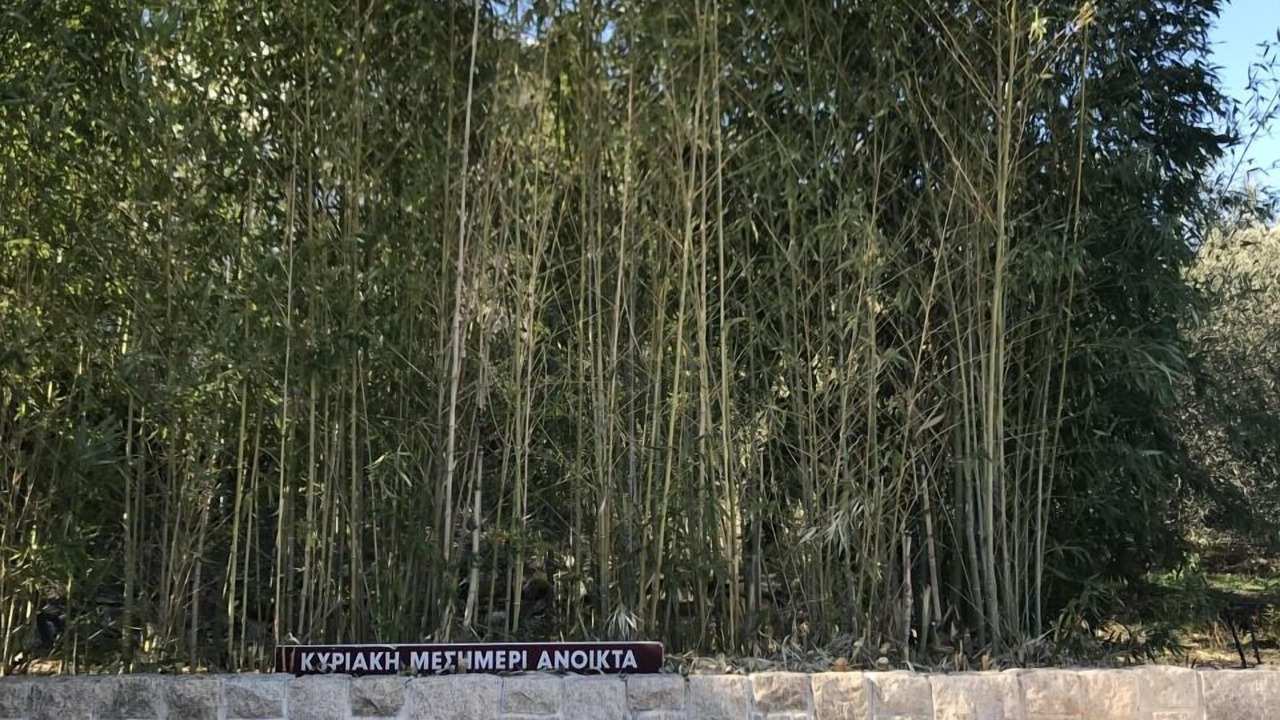 Photo of Outdoor in Palaio Tsifliki