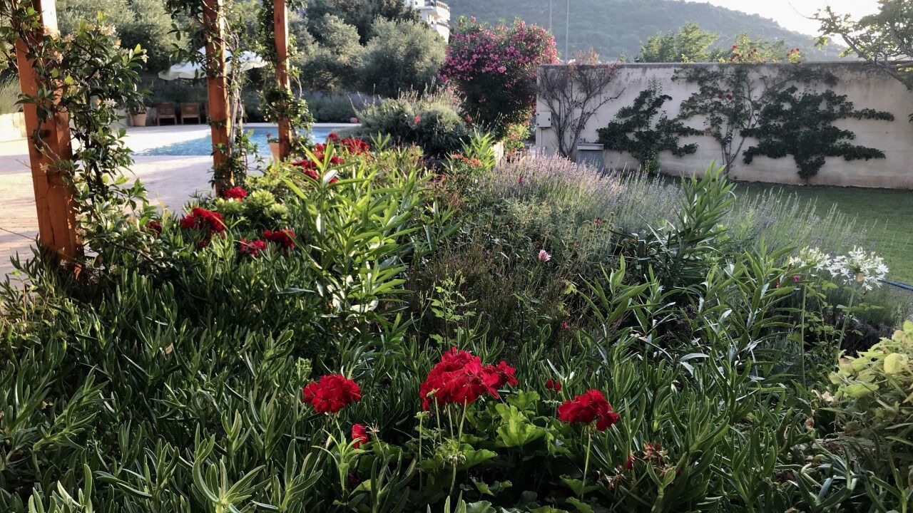 Photo of Outdoor in Palaio Tsifliki