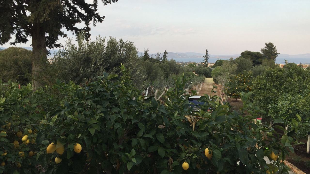 Photo of Outdoor in Nea Makri