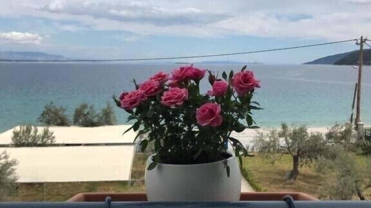 Photo of Outdoor in Kato Almiri