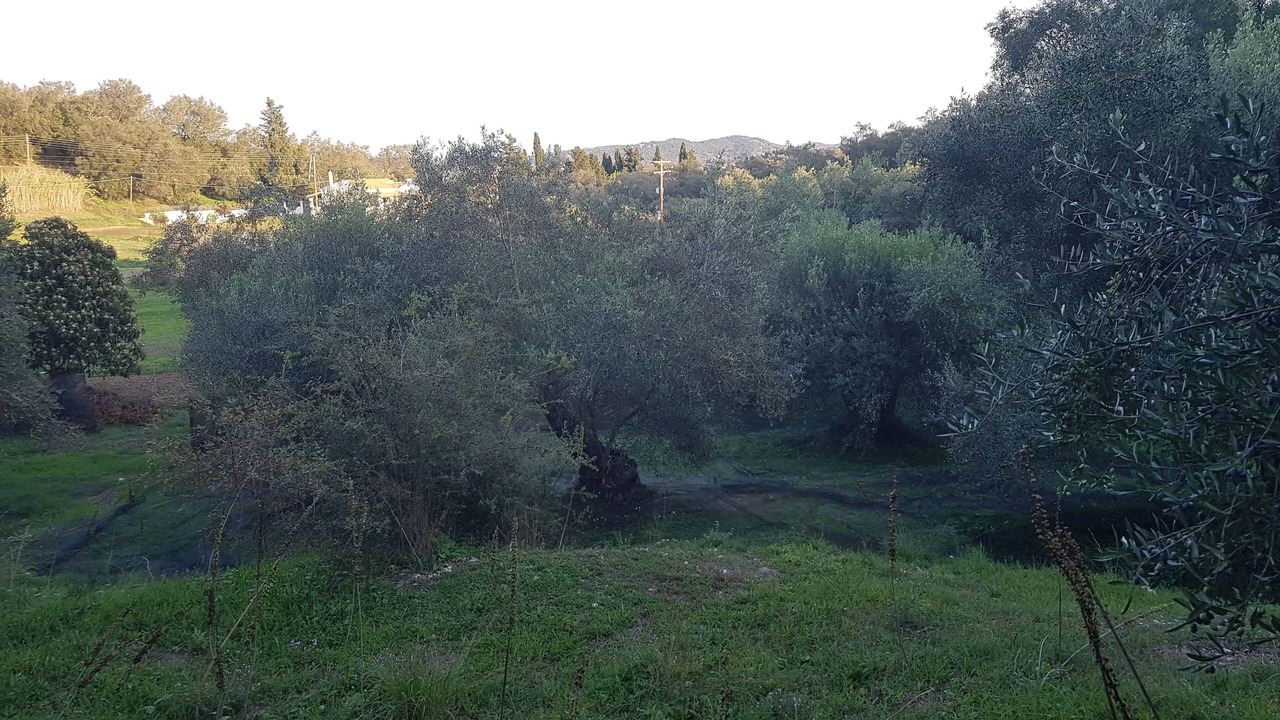 Photo of Outdoor in Giannades