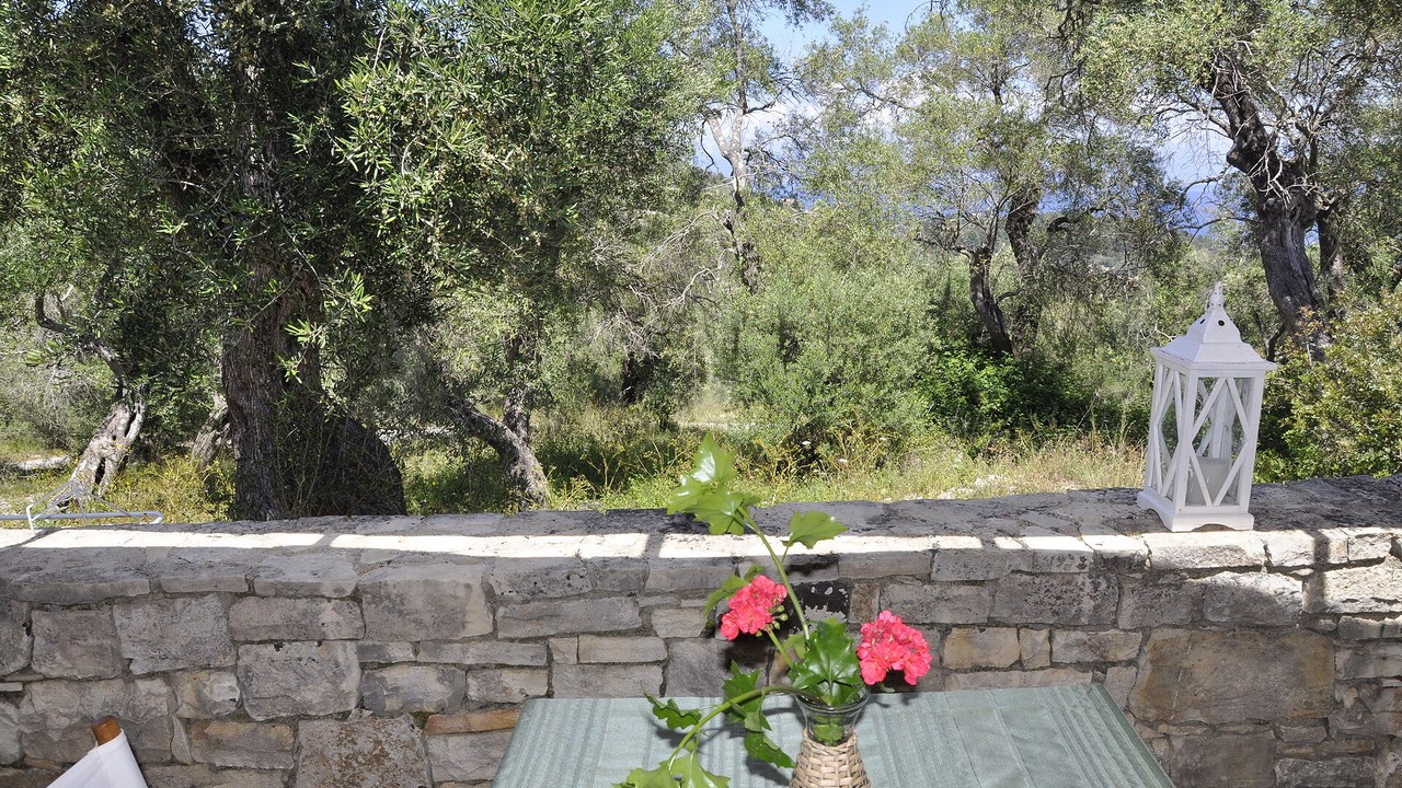 Photo of Outdoor in Mpogdanatika