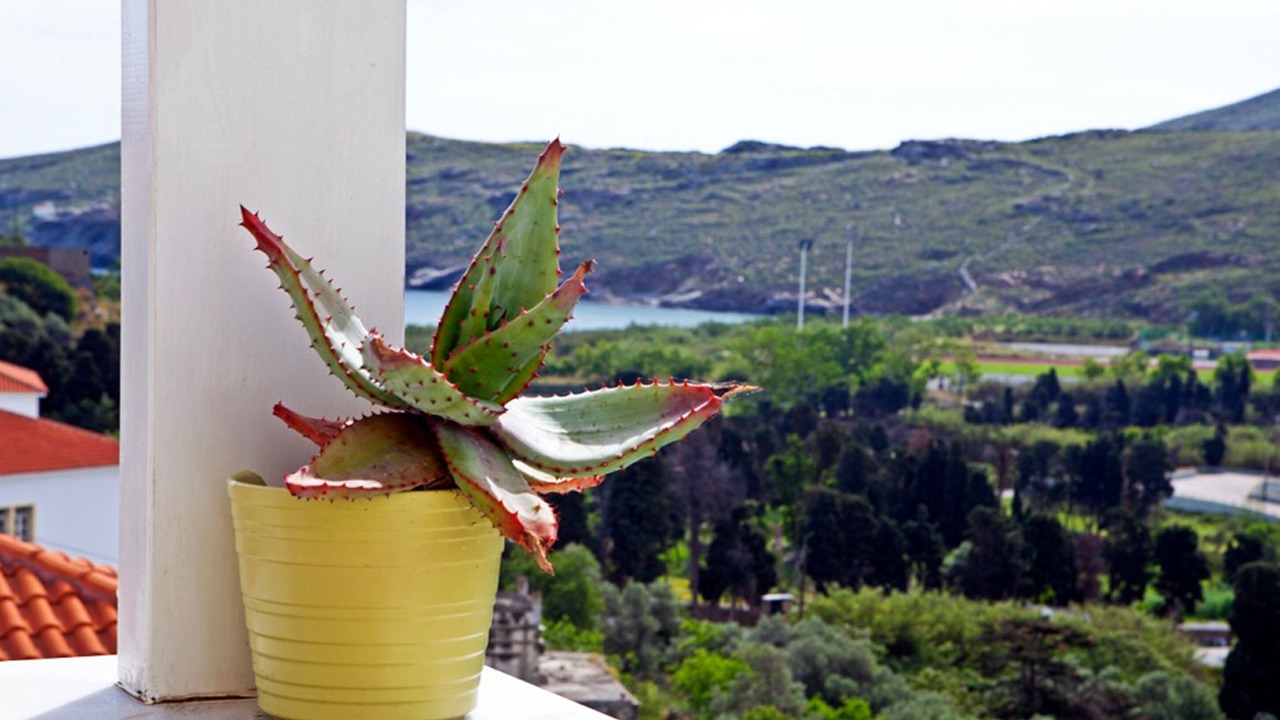 Photo of Patio Balcony in Paleopolis