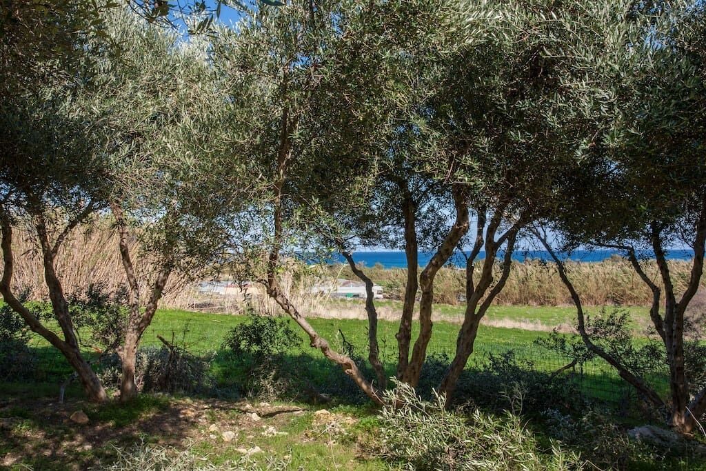 Photo of Outdoor in Filaki