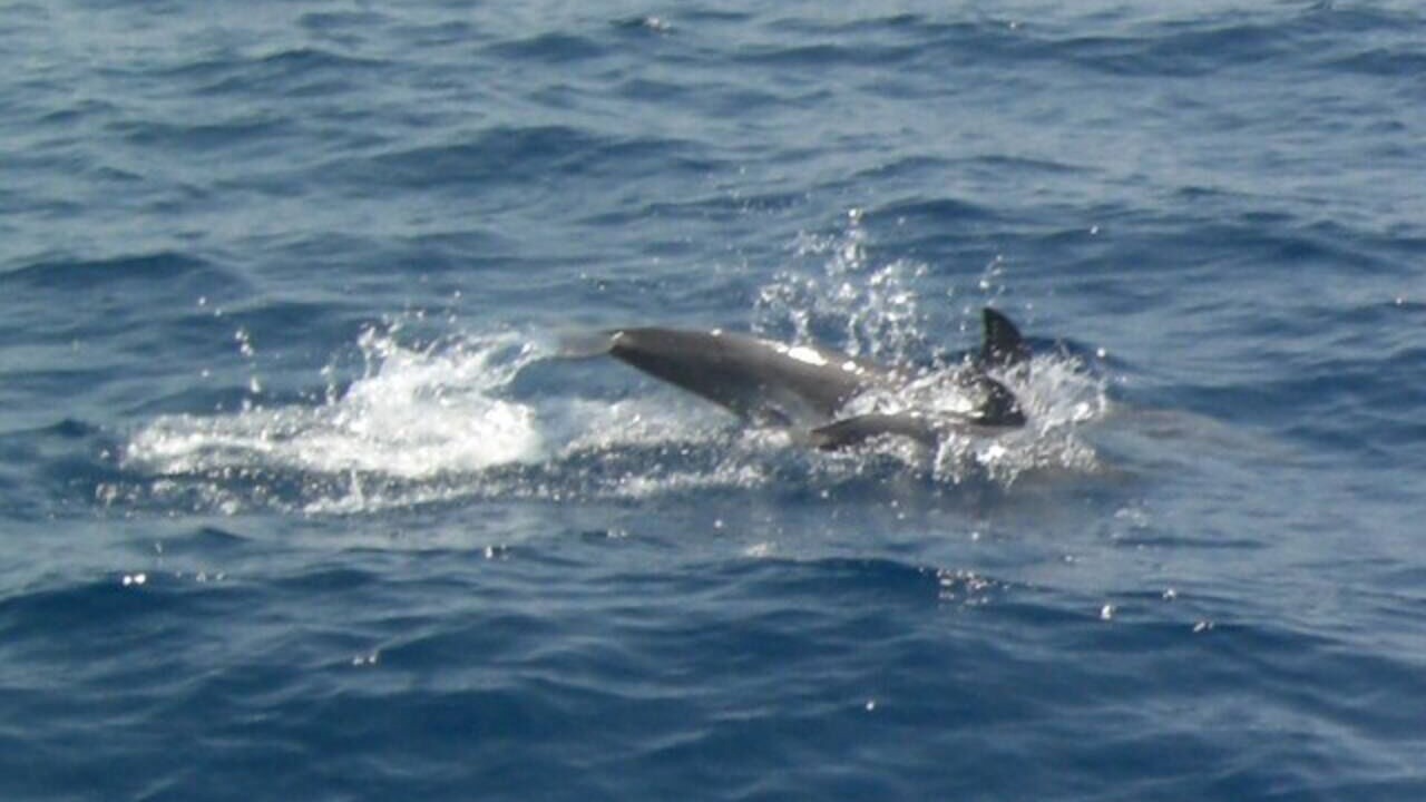 Photo of Others in Alimos