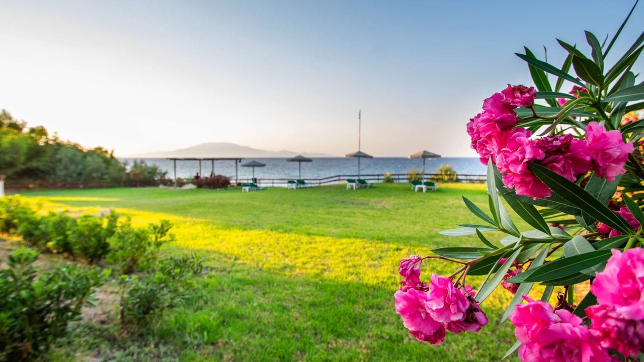 Photo of Outdoor in Amoudi