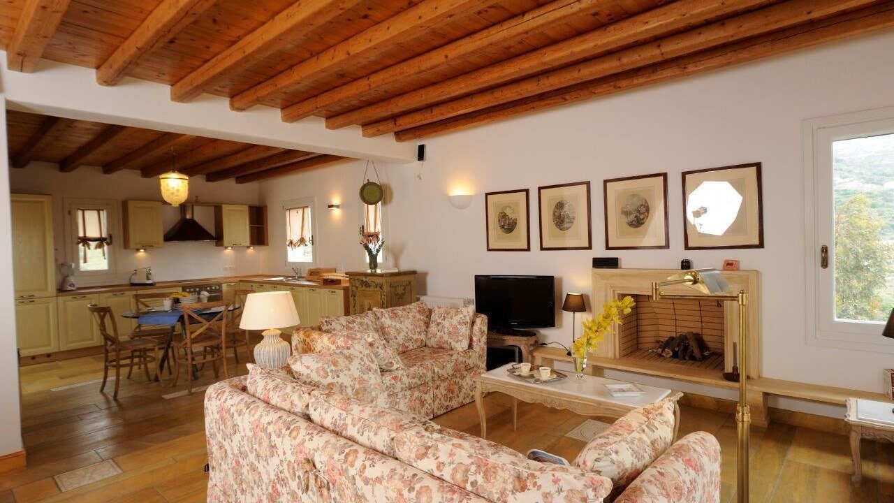 Photo of Livingroom in Paleopolis