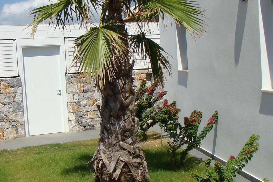 Photo of Outdoor in Kefalas
