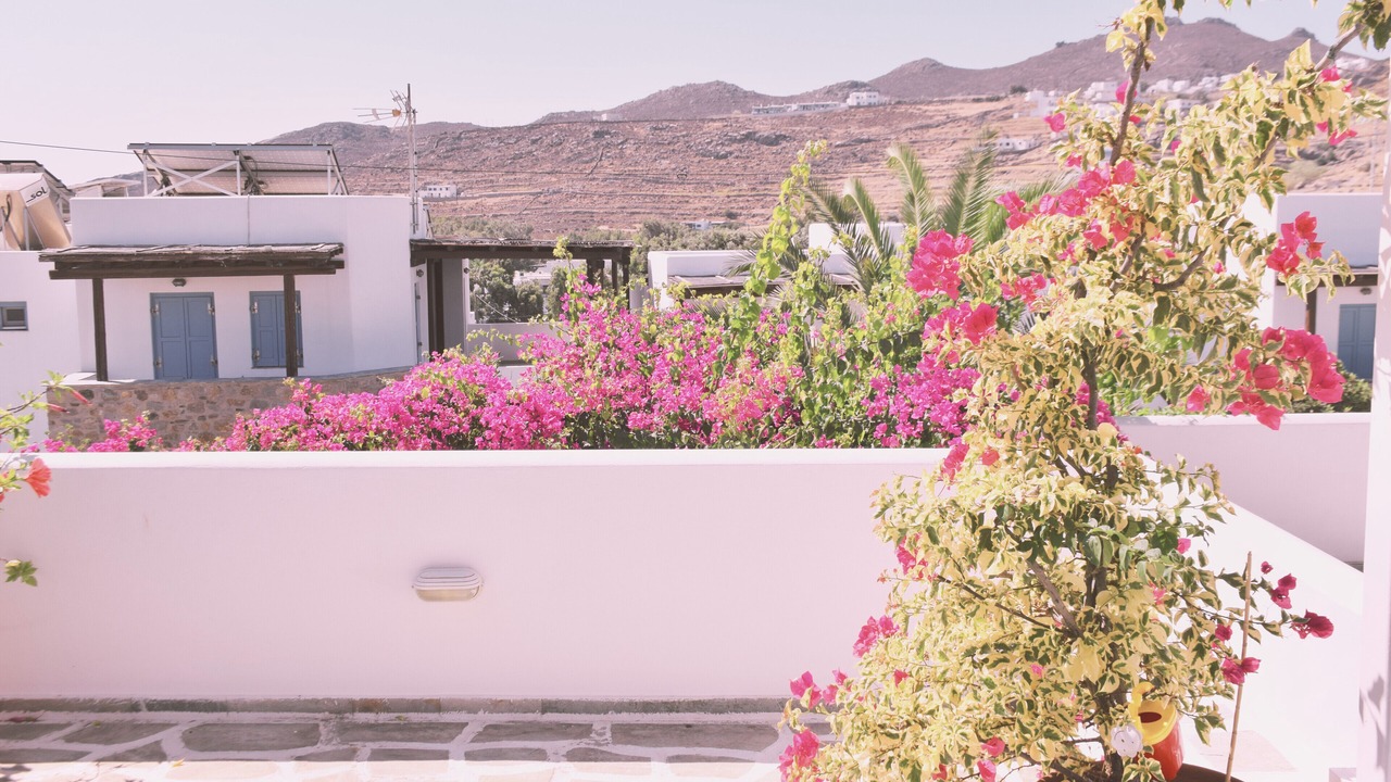 Photo of Patio Balcony in Livadi