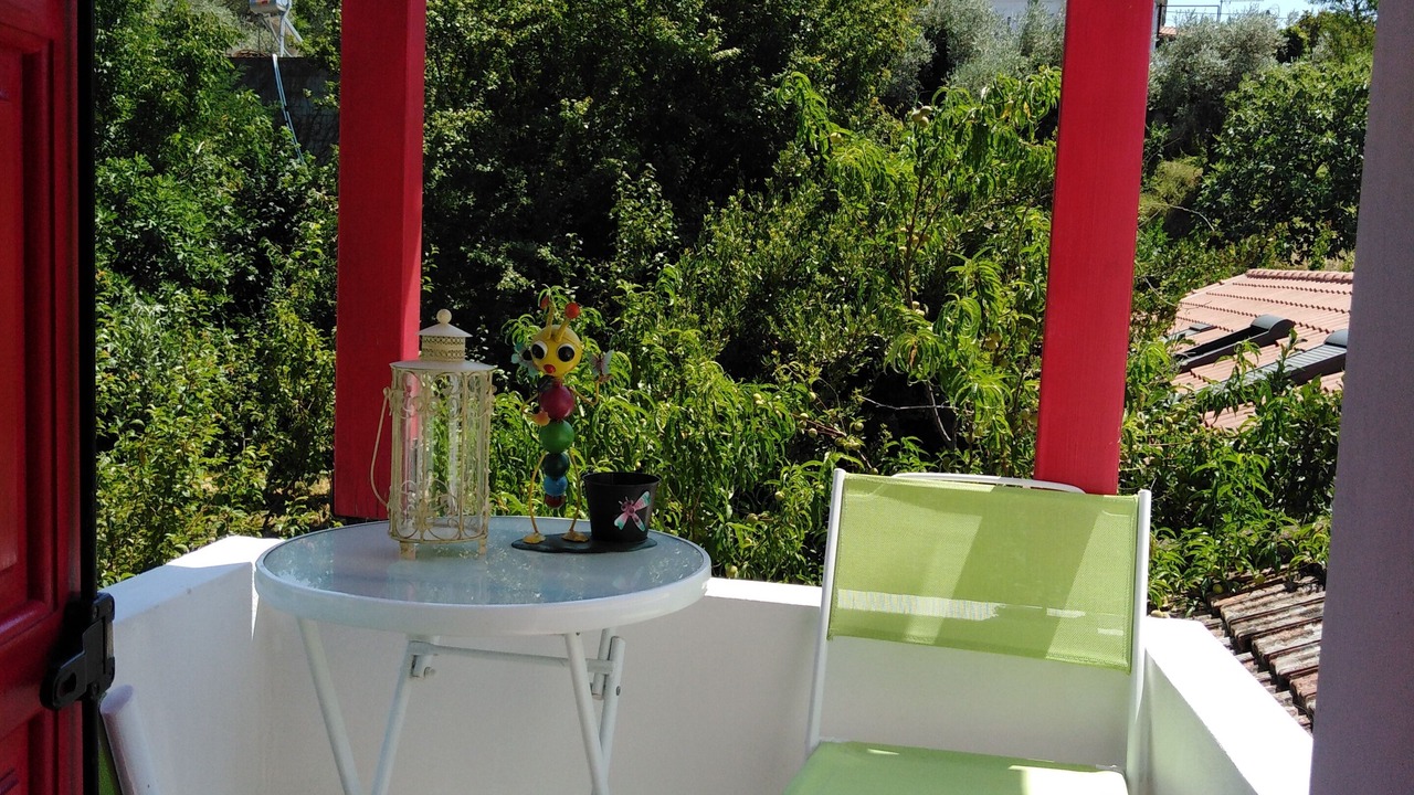 Photo of Outdoor in Horto