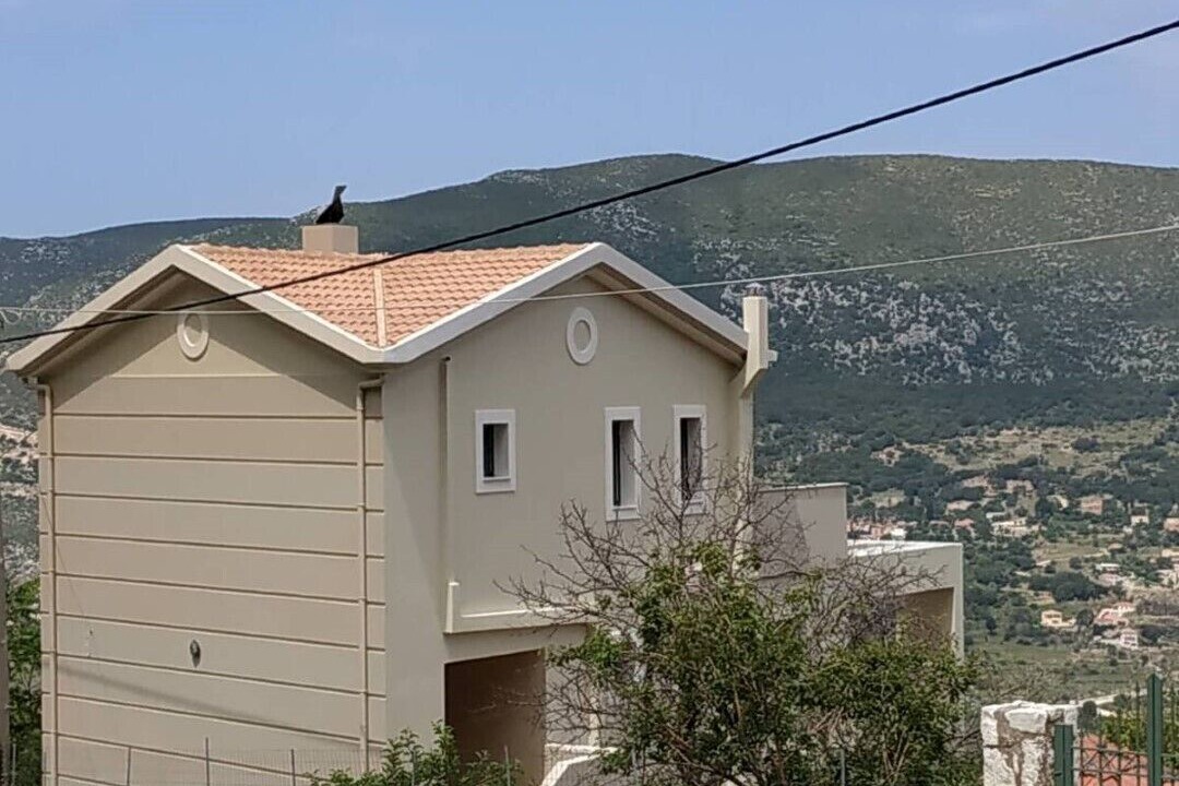 Photo of Outdoor in Argostoli