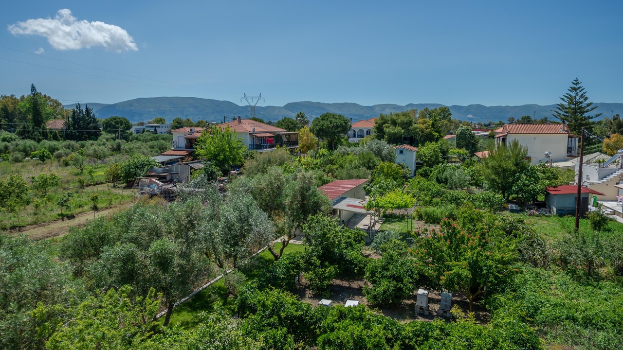 Photo of Others in Zakynthos