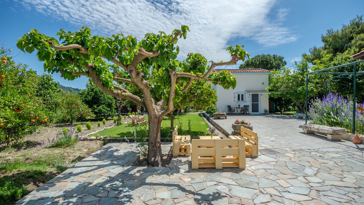 Photo of Others in Zakynthos